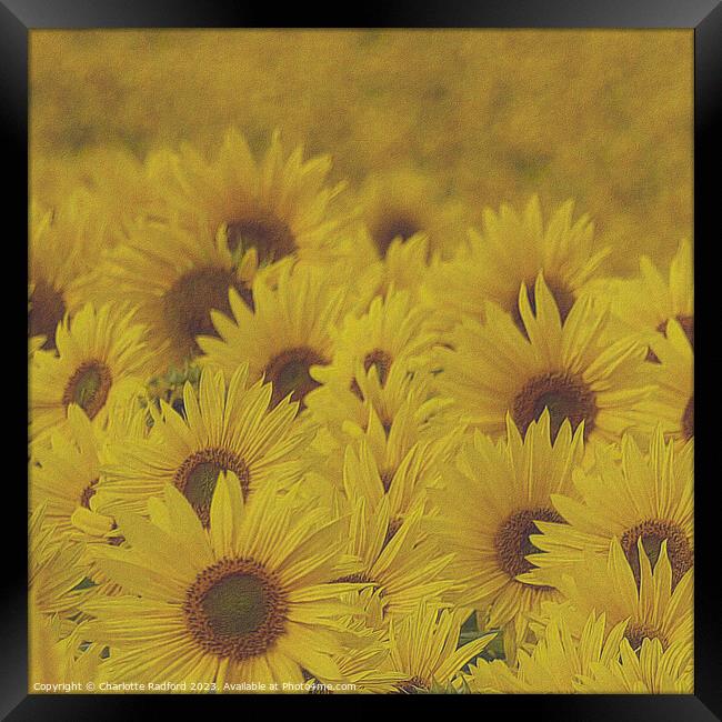 Sun-Kissed Sunflower Landscape Framed Print by Charlotte Radford