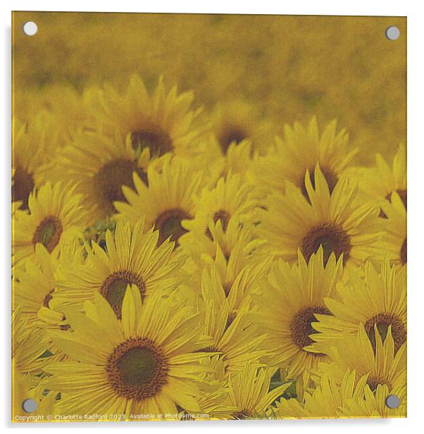 Sun-Kissed Sunflower Landscape Acrylic by Charlotte Radford