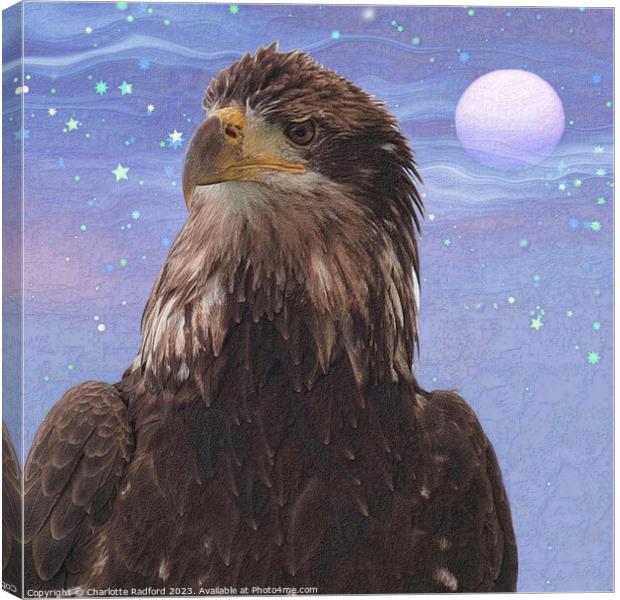 Lunar Illumination: Eagle's Night Watch Canvas Print by Charlotte Radford