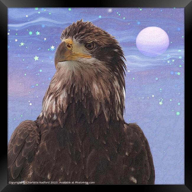 Lunar Illumination: Eagle's Night Watch Framed Print by Charlotte Radford
