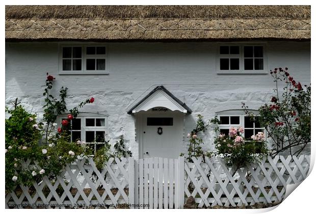 Thatched cottage in Avebury Print by Peter Wiseman