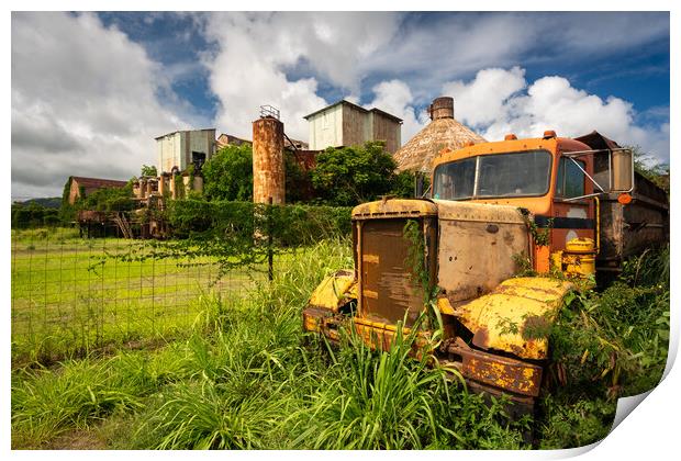 Abandoned truck by old sugar mill at Koloa Kauai Print by Steve Heap