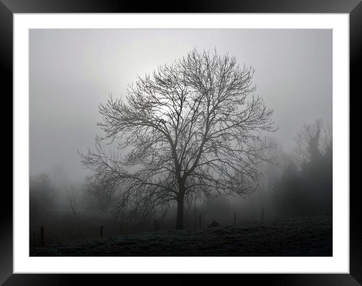 Ash tree in fog, Hob Moor  Framed Mounted Print by Paul Boizot