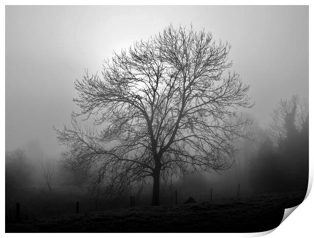 Ash tree in fog, Hob Moor, monochrome Print by Paul Boizot