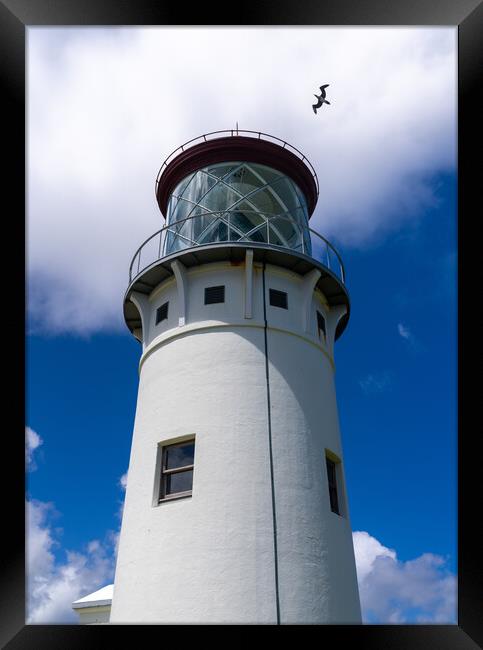 Detail of Kilauae lighthouse against blue sky on Kauai Framed Print by Steve Heap