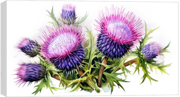 Watercolour Scottish Thistles Canvas Print by Steve Smith