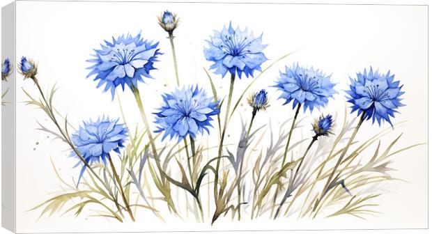 Watercolour Cornflowers Canvas Print by Steve Smith