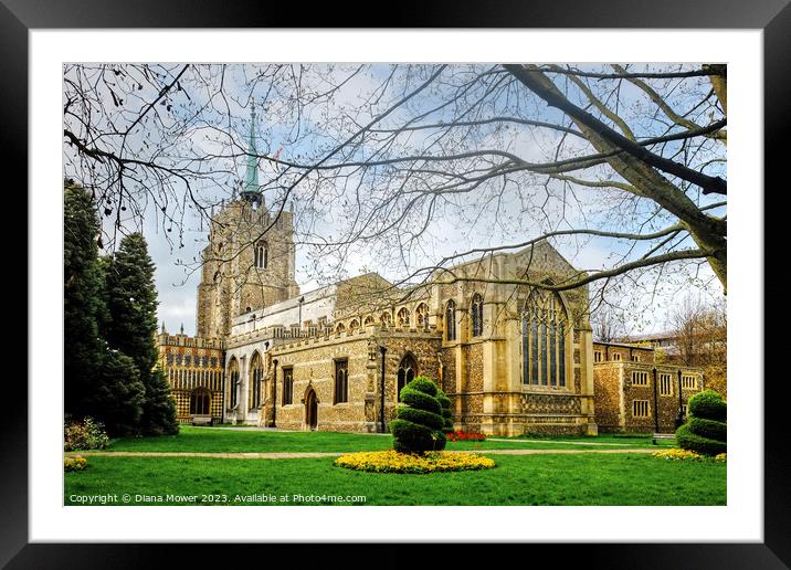 Chelmsford Cathedral  Framed Mounted Print by Diana Mower