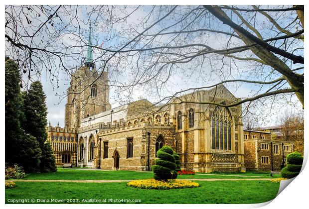 Chelmsford Cathedral  Print by Diana Mower