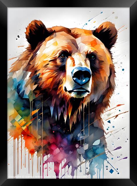 Grizzly with watercolour splashes Framed Print by Darren Wilkes