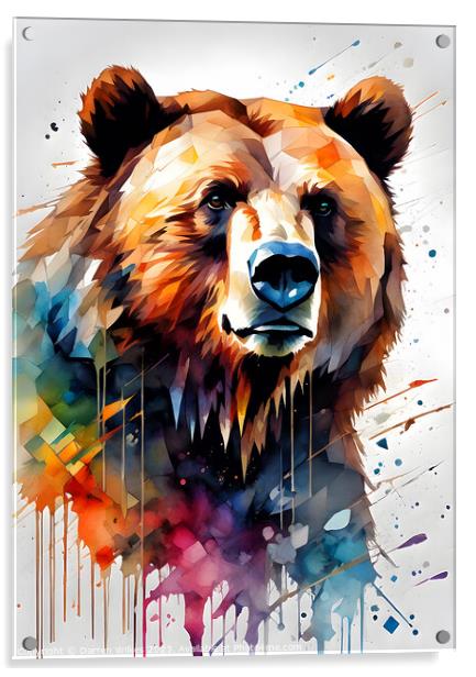 Grizzly with watercolour splashes Acrylic by Darren Wilkes