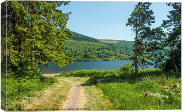 Path to Talybont Reservoir in the Brecon Beacons  Canvas Print by Nick Jenkins