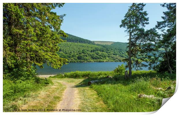 Path to Talybont Reservoir in the Brecon Beacons  Print by Nick Jenkins