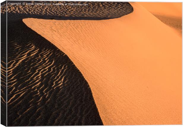Textures of a Sand Dune Canvas Print by Derek Daniel