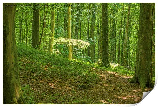 Fforest Fawr above the Castell Coch Castle at Tongwynlais June  Print by Nick Jenkins