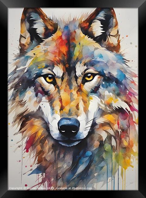Mesmerising American Grey Wolf Art Framed Print by Darren Wilkes