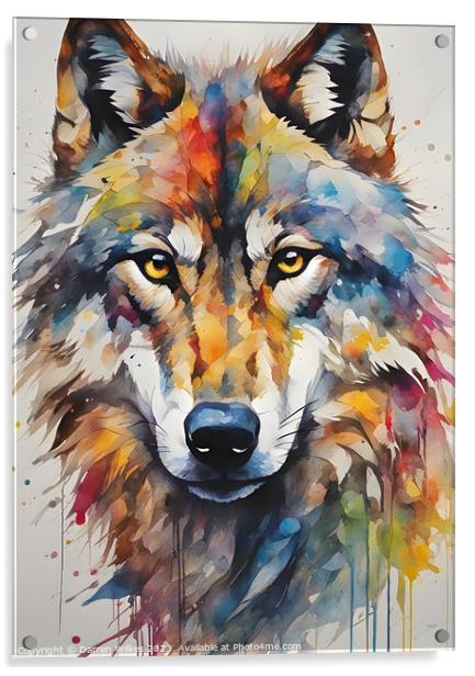Mesmerising American Grey Wolf Art Acrylic by Darren Wilkes