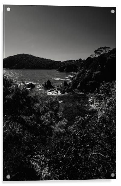 Coastal Beauty: Majestic Mountains, Clear Skies, and Tranquil Water in black and white Acrylic by youri Mahieu