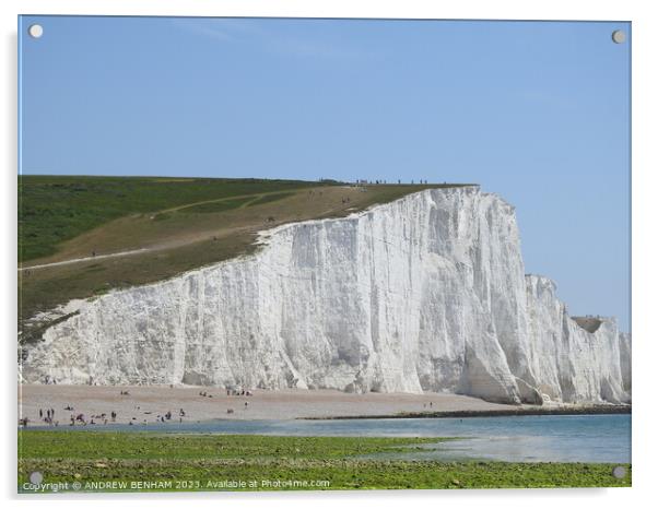 Seven Sisters Cliffs Acrylic by ANDREW BENHAM