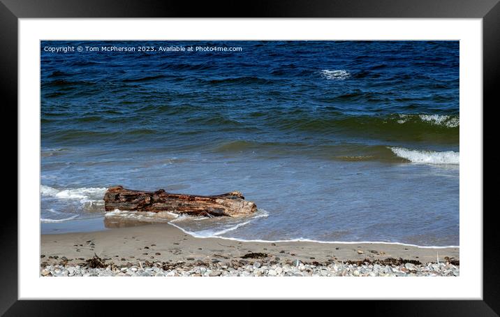 Sand-Kissed Driftwood: Nature's Artistry Framed Mounted Print by Tom McPherson