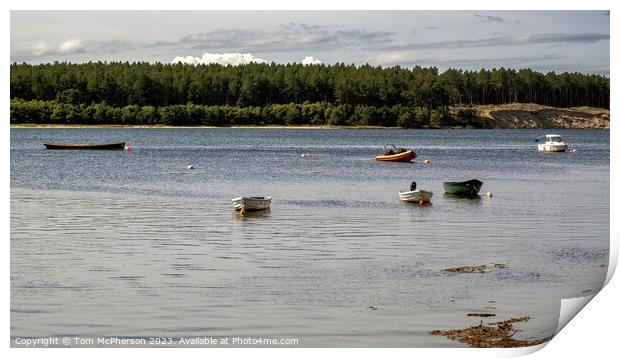 Serenity on Findhorn Bay Waters Print by Tom McPherson