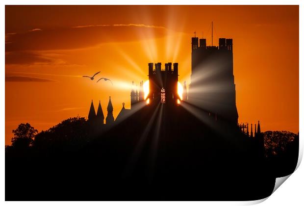 Sunset behind Ely Cathedrel, 23rd September 2021 Print by Andrew Sharpe