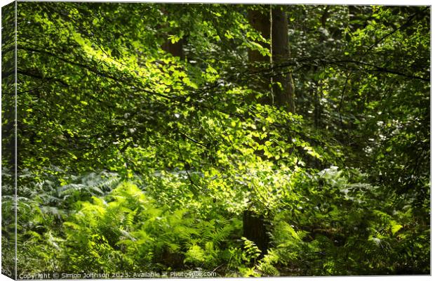 sunlit leaves and ferns Canvas Print by Simon Johnson