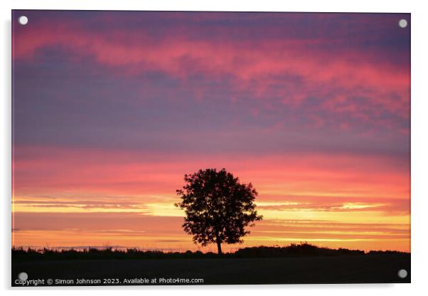 sunrise and tree silhouette Acrylic by Simon Johnson