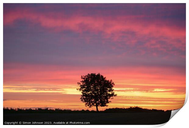 sunrise and tree silhouette Print by Simon Johnson