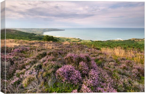 Heather at Ravenscar overlooking Robin Hoods Bay Canvas Print by Martin Williams