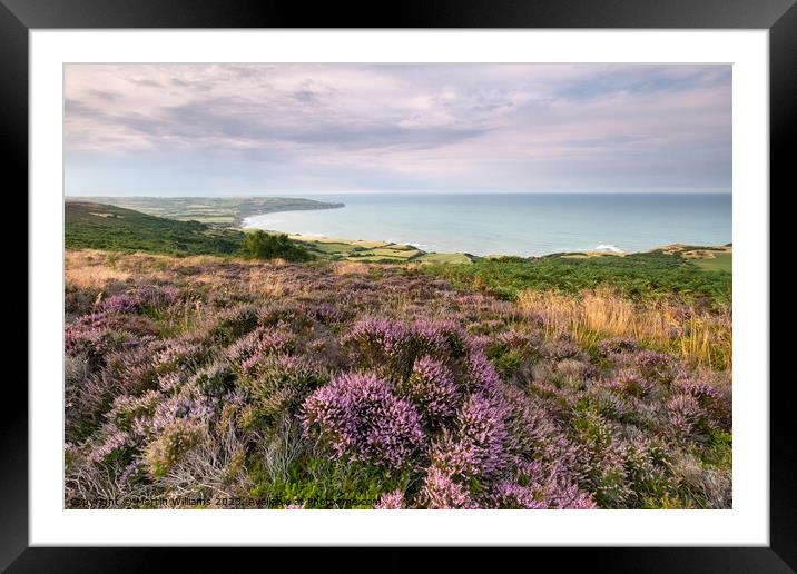 Heather at Ravenscar overlooking Robin Hoods Bay Framed Mounted Print by Martin Williams