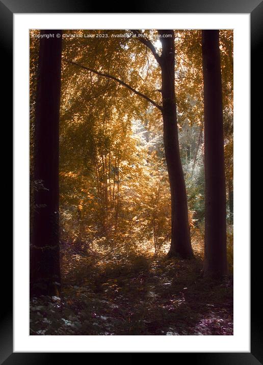 The Edge Of Autumn Framed Mounted Print by Christine Lake