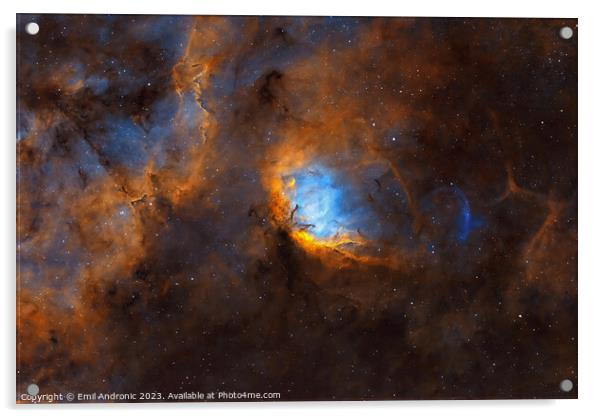 The Tulip nebula and the Cygnus X1 black hole Bow Shock Acrylic by Emil Andronic