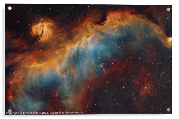 The Seagull Nebula Acrylic by Emil Andronic