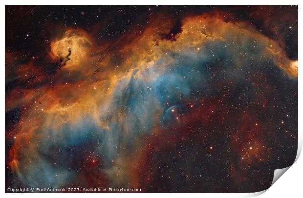 The Seagull Nebula Print by Emil Andronic