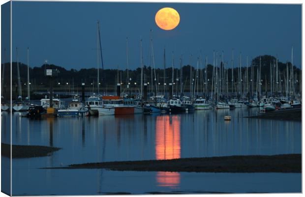 August Blue moon rising over the Brightlingsea moorings  Canvas Print by Tony lopez