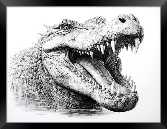 Saltwater Crocodile Drawing Framed Print by Steve Smith
