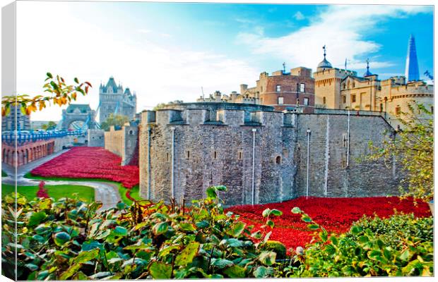 'Red Poppy Tribute: Tower of London' Canvas Print by Andy Evans Photos
