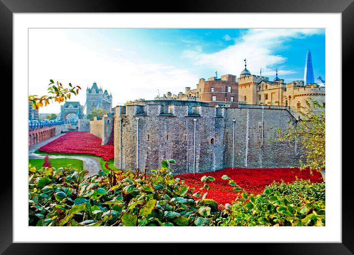 'Red Poppy Tribute: Tower of London' Framed Mounted Print by Andy Evans Photos