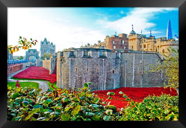 'Red Poppy Tribute: Tower of London' Framed Print by Andy Evans Photos