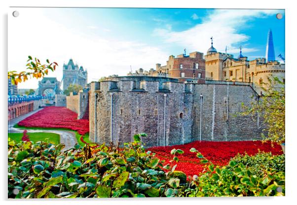 'Red Poppy Tribute: Tower of London' Acrylic by Andy Evans Photos