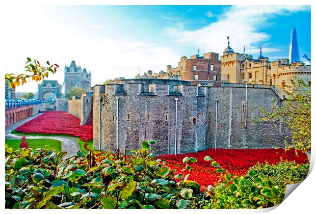'Red Poppy Tribute: Tower of London' Print by Andy Evans Photos