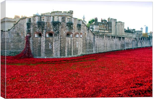 Poignant Poppies: Tower of London's Tribute Canvas Print by Andy Evans Photos