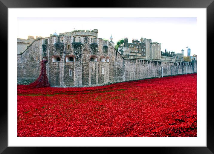 Poignant Poppies: Tower of London's Tribute Framed Mounted Print by Andy Evans Photos