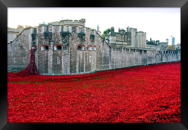 Poignant Poppies: Tower of London's Tribute Framed Print by Andy Evans Photos