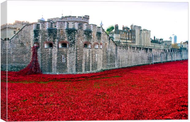London Tower's Sea of Red Poppies Canvas Print by Andy Evans Photos