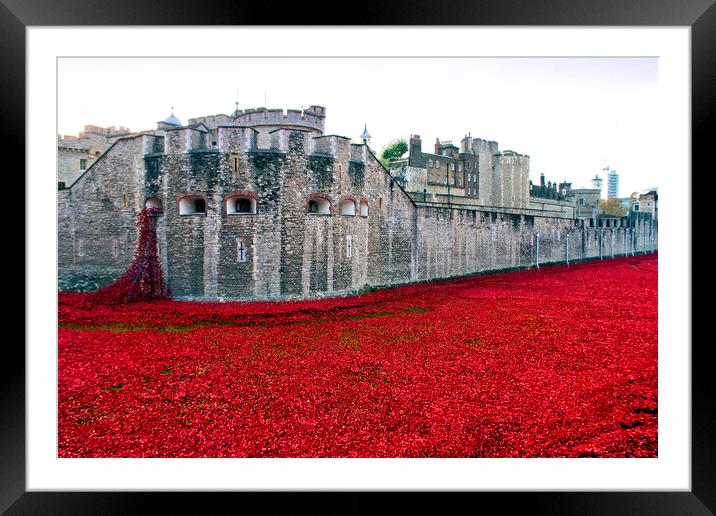 London Tower's Sea of Red Poppies Framed Mounted Print by Andy Evans Photos