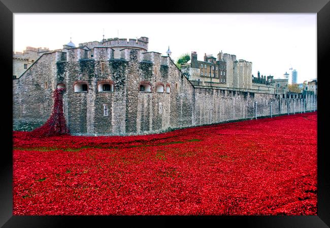 London Tower's Sea of Red Poppies Framed Print by Andy Evans Photos