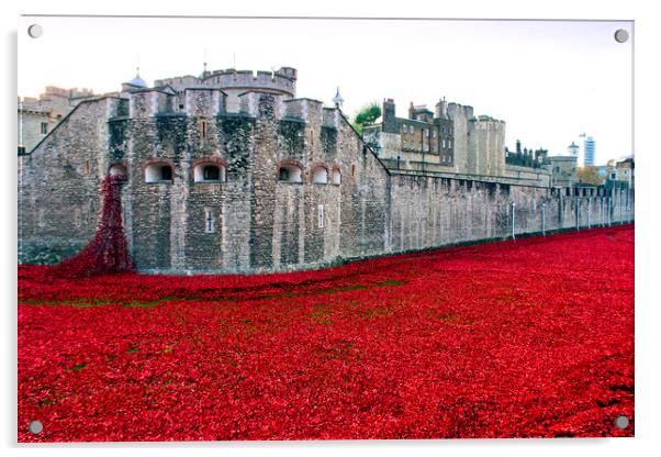 London Tower's Sea of Red Poppies Acrylic by Andy Evans Photos