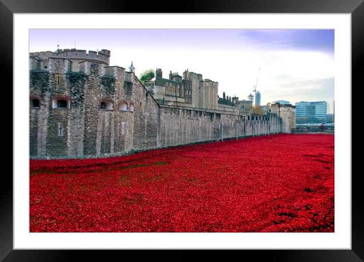 Tower of London's Blood-Red Poppy Tribute Framed Mounted Print by Andy Evans Photos